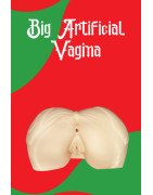 Big Artificial Vagina